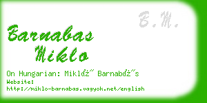 barnabas miklo business card